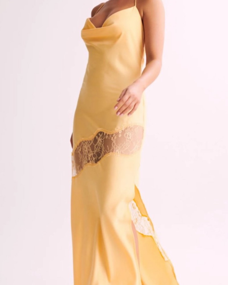 Meshki Chandra Lace Detail Satin Maxi by Meshki - Pickle