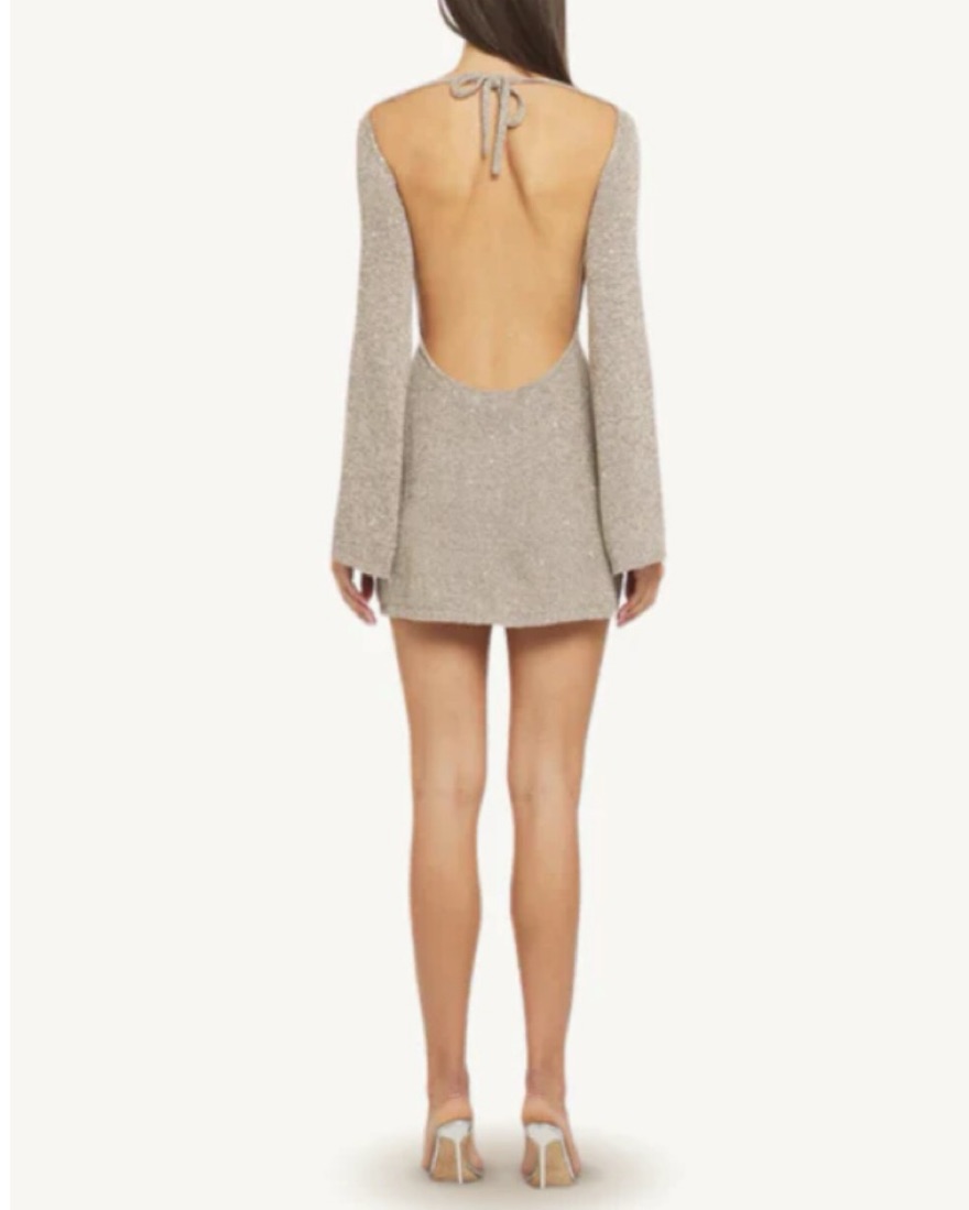 audette mini dress Audette Mini Dress