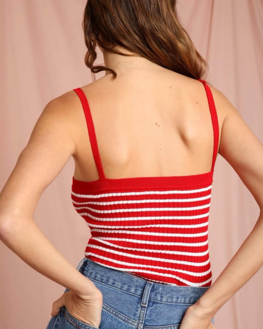 Rouje Knit Phybie Striped Red Top | Pickle