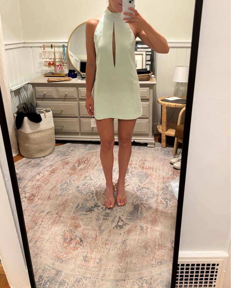 Helsa Mini Dress by Helsa - Pickle
