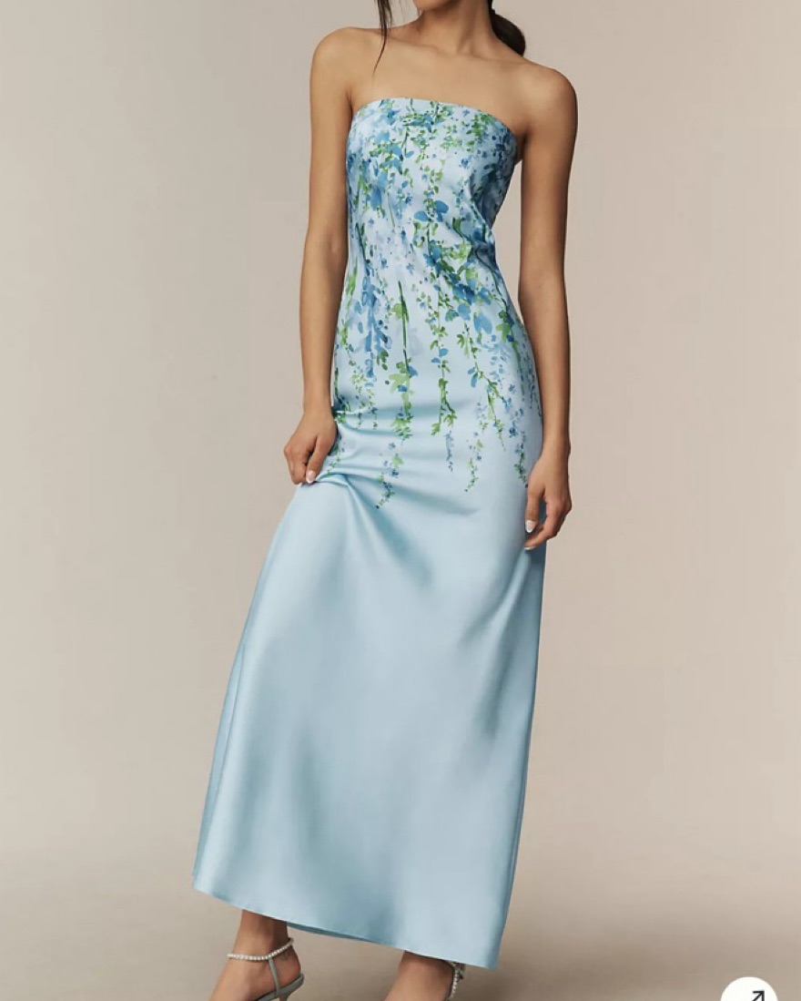 BHLDN Mia Strapless Column Maxi Dress by BHLDN - Pickle