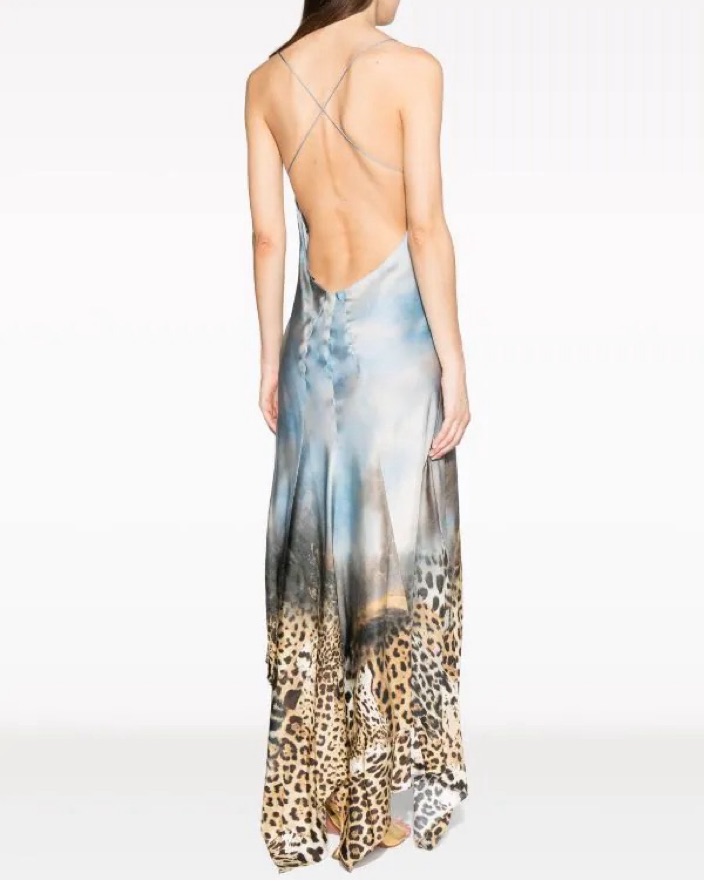 Roberto Cavalli graphic print silk dress | Pickle