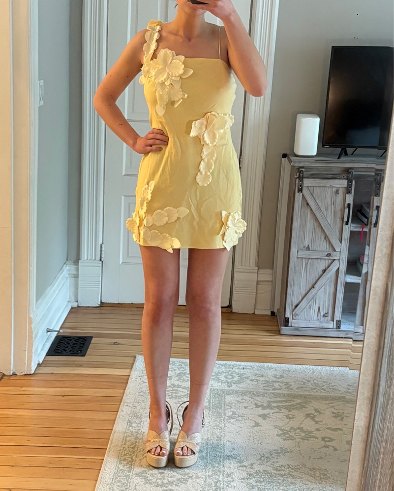 Hutch 3D Floral Applique Linen Dress | Pickle