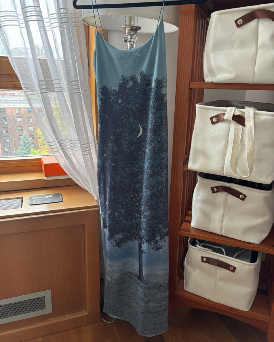 LimitedEdition Rene Magritte Tulle Dress by Zara - Pickle