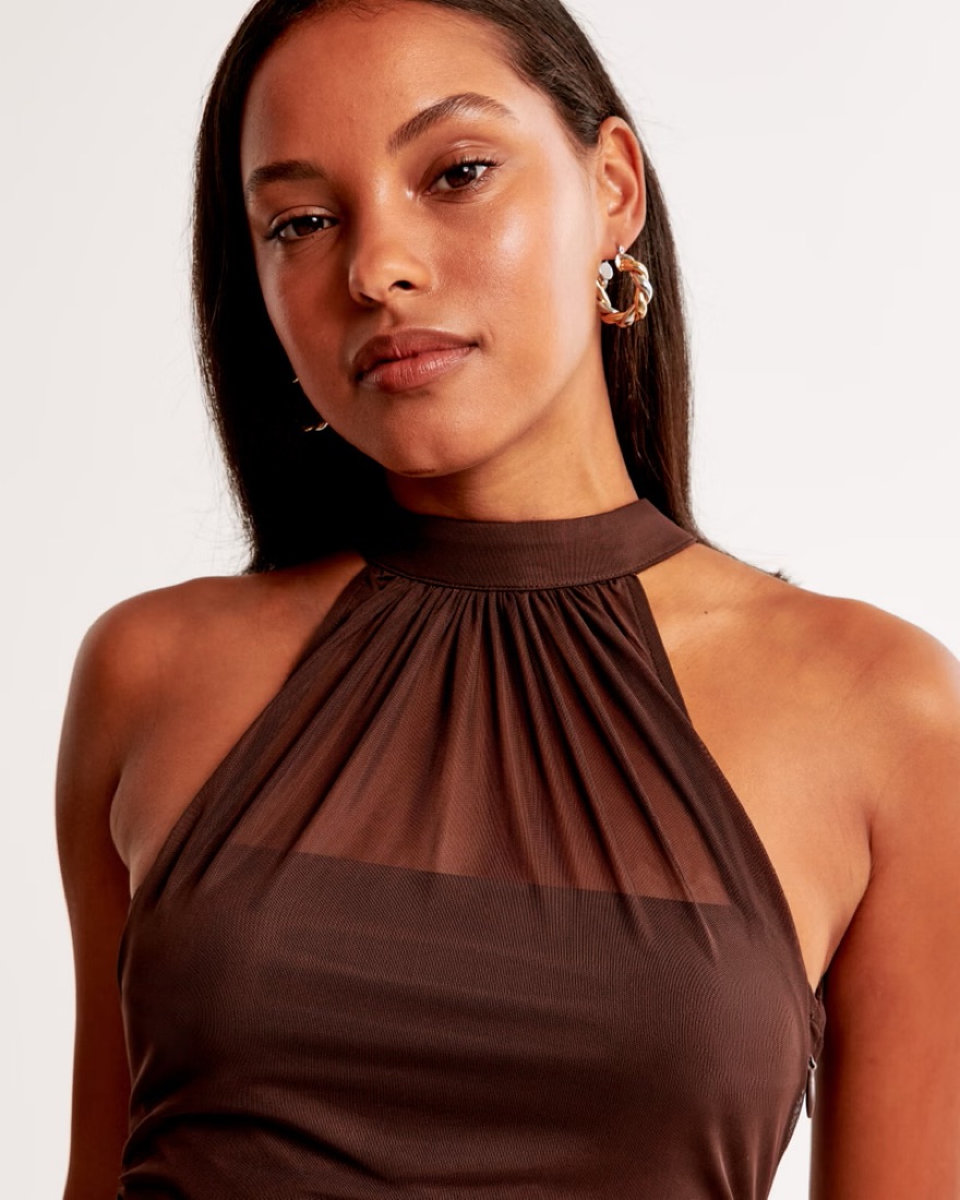 Vol. 28 Brown Sheer Halter Maxi Dress by Abercrombie and Fitch - Pickle