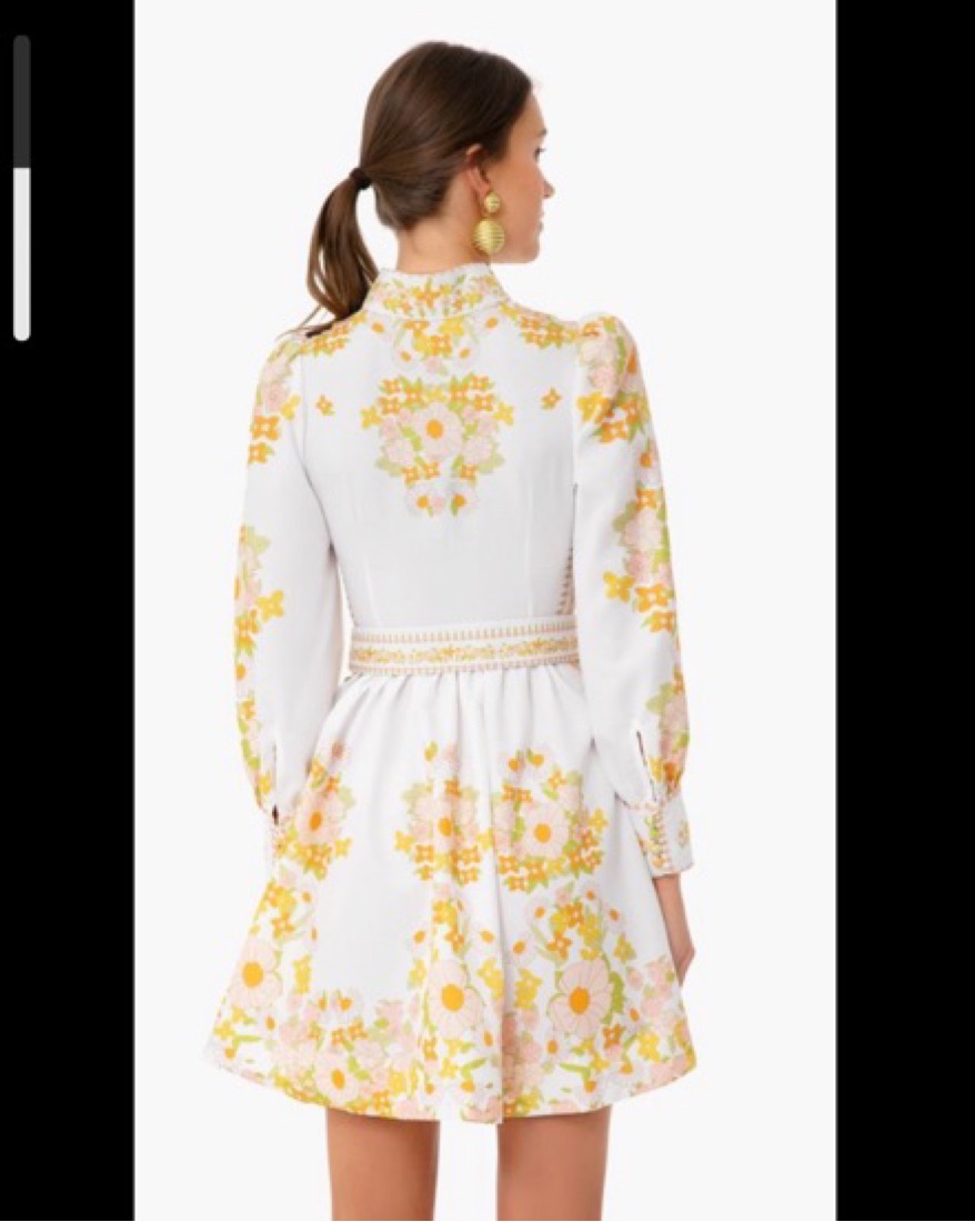 Tuckernuck Beulah Mini Dress by Tuckernuck - Pickle