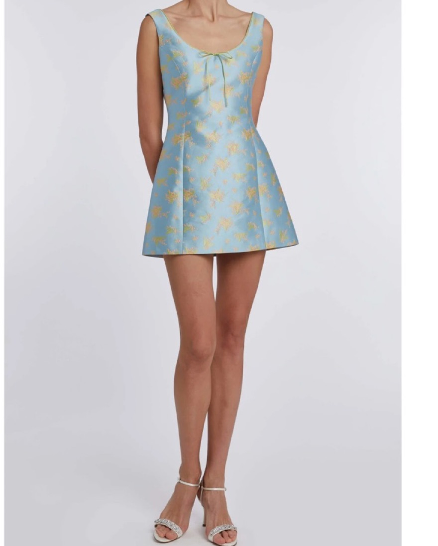women's boho mini dress Women's L/S Boho Pattern Ruffled A-Line Mini Dress Medium