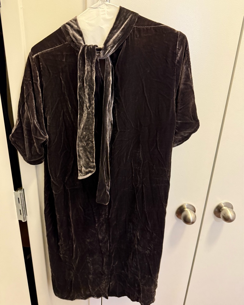 Holiday Velvet Dress by Eileen Fisher - Pickle