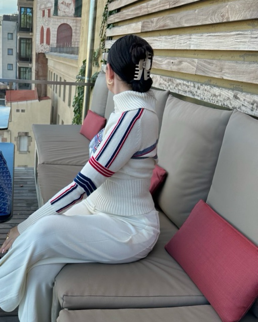 Christian Dior Sweater Alps Collection | Pickle
