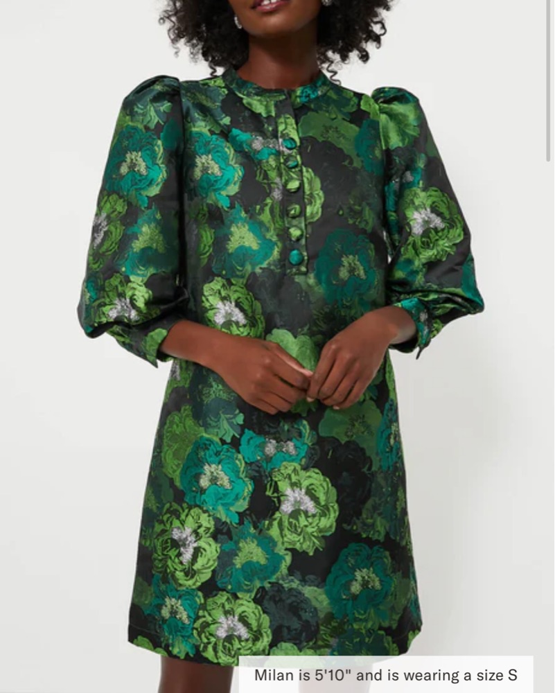 tuckernuck green dress Tuckernuck Green Embellished Aurelie Shift Dress Green / S main image 0