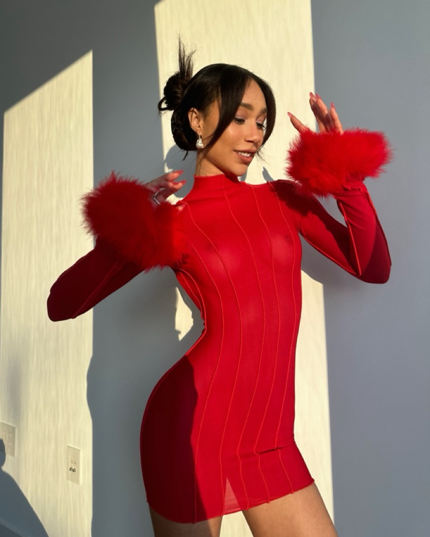 long sleeve mini a line dress Crimson A-Line Knit Collared Long Sleeve Mini Dress