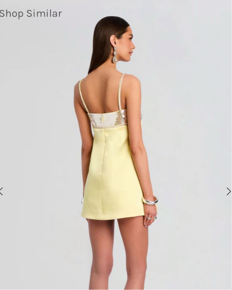 embroidered sequin dress Agron Flower Embroidered Sequin Dress – Mew Mews