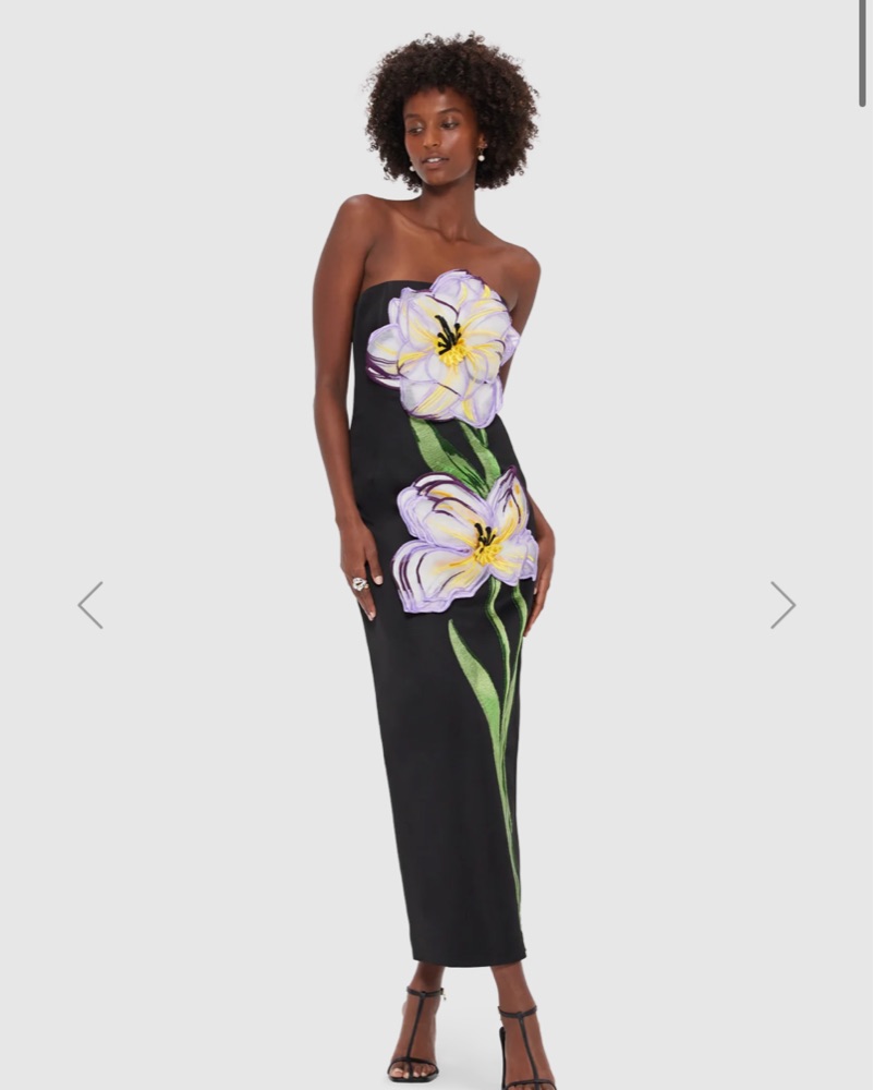 leo lin rayna maxi dress Rayna Appliqu Bustier Maxi Dress