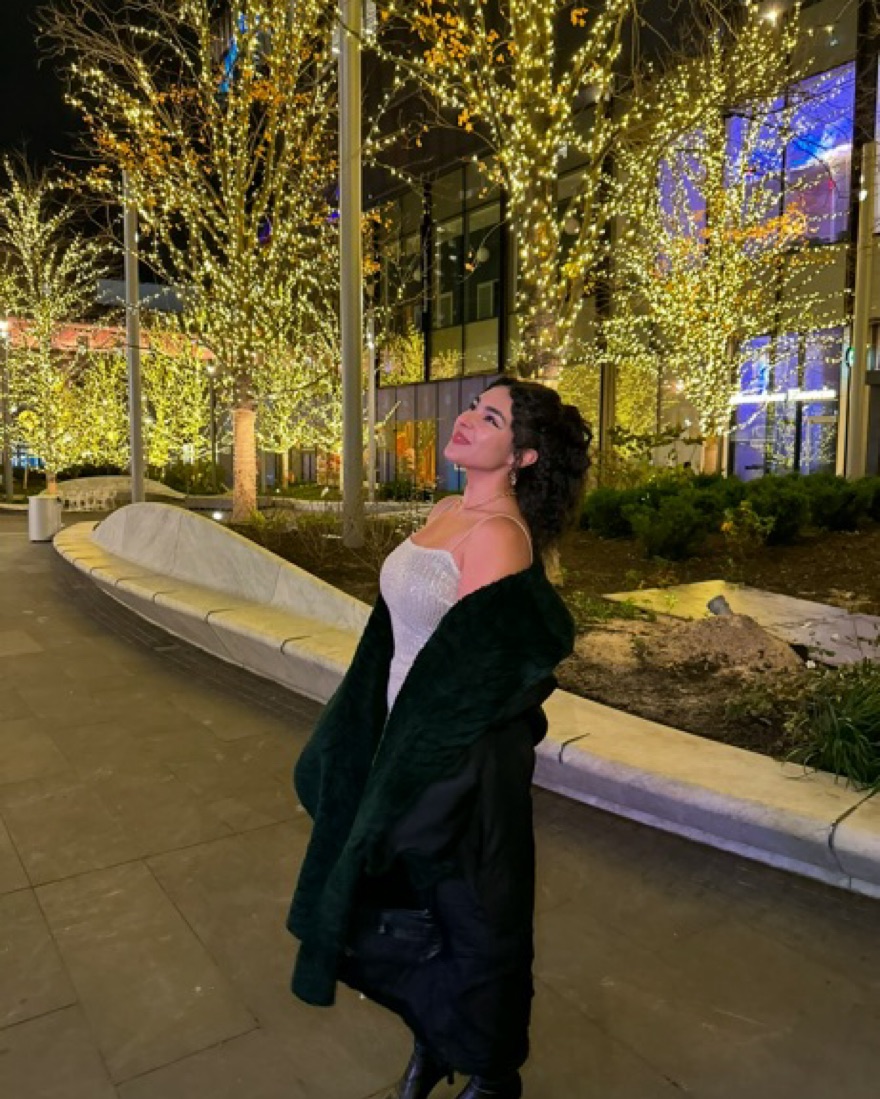 Sparkling Silver Sequin Dress | Pickle