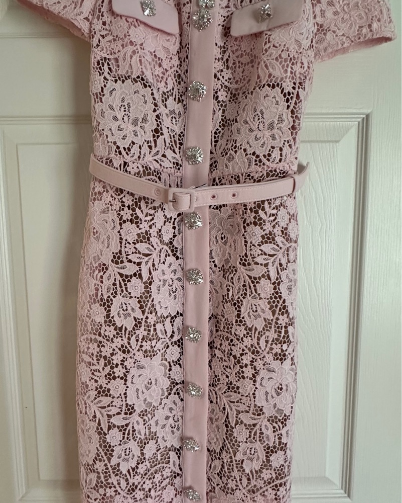 Pink Lace Self Portrait Dress by Self Portrait - Pickle
