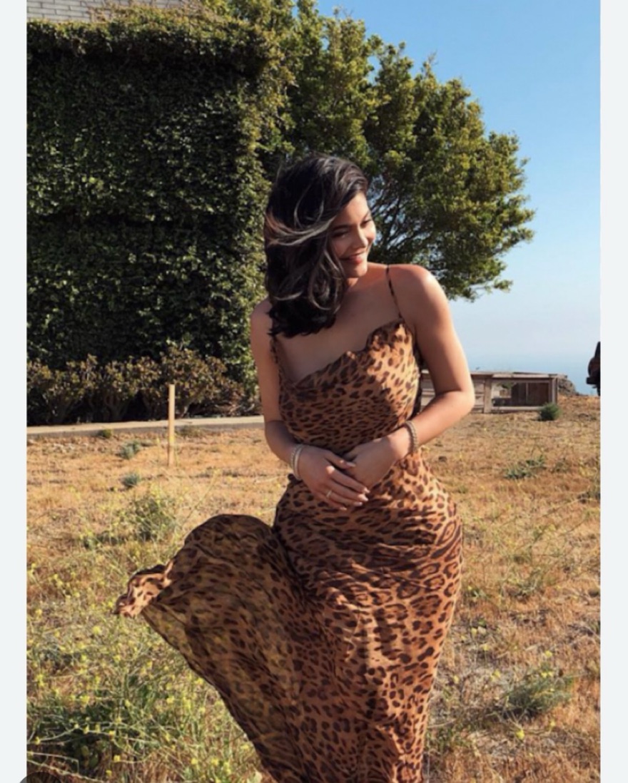 rat and boa valentina dress & Full of spirit and wild at heart Valentina Dress Cowl Neck Cheetah