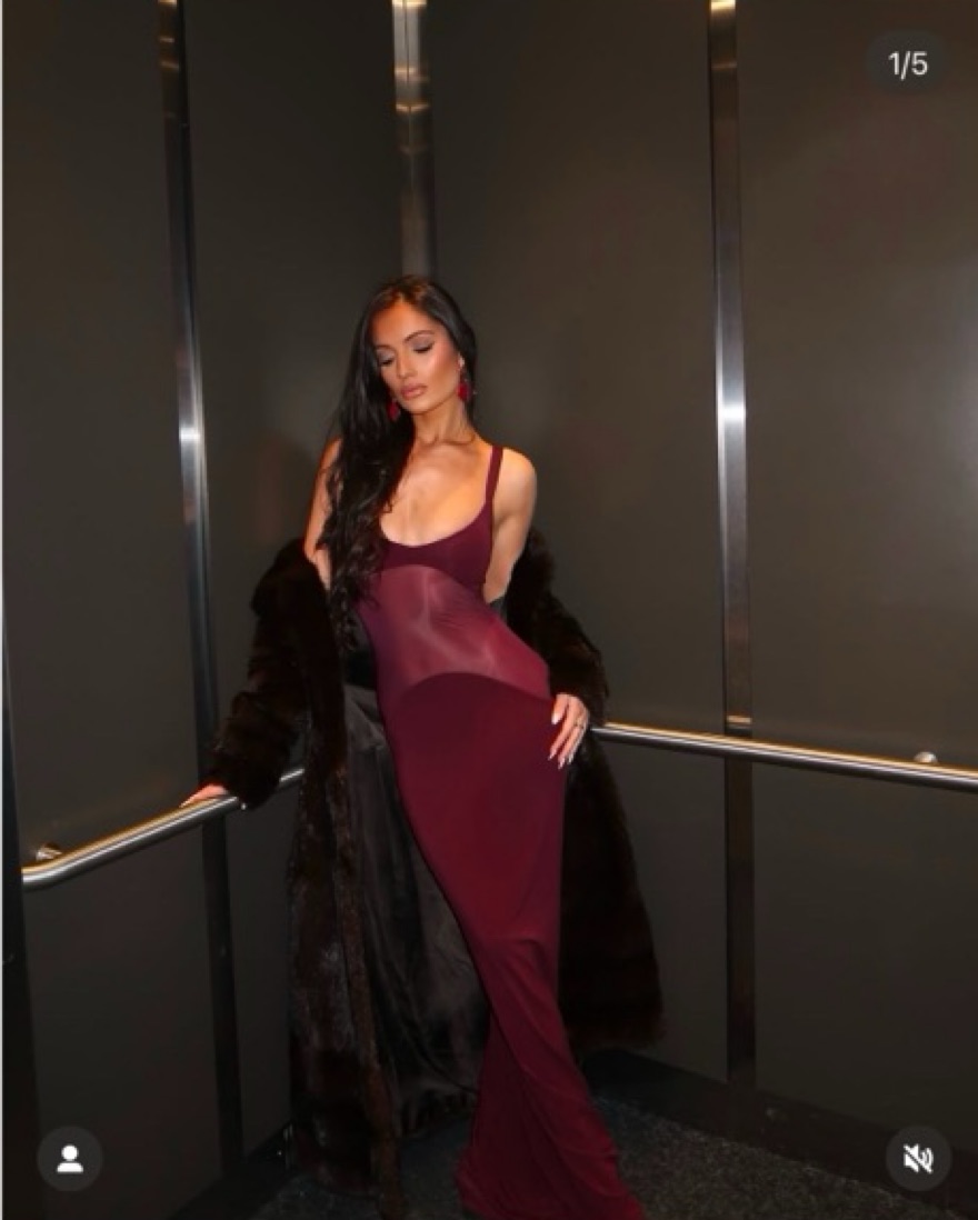 Helsa Merlot Formal Gown Gala Black Tie by Helsa - Pickle