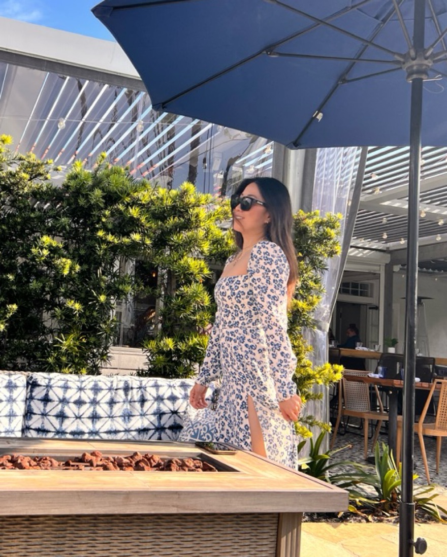 Reformation Sigmund Dress In Milanesa | Pickle