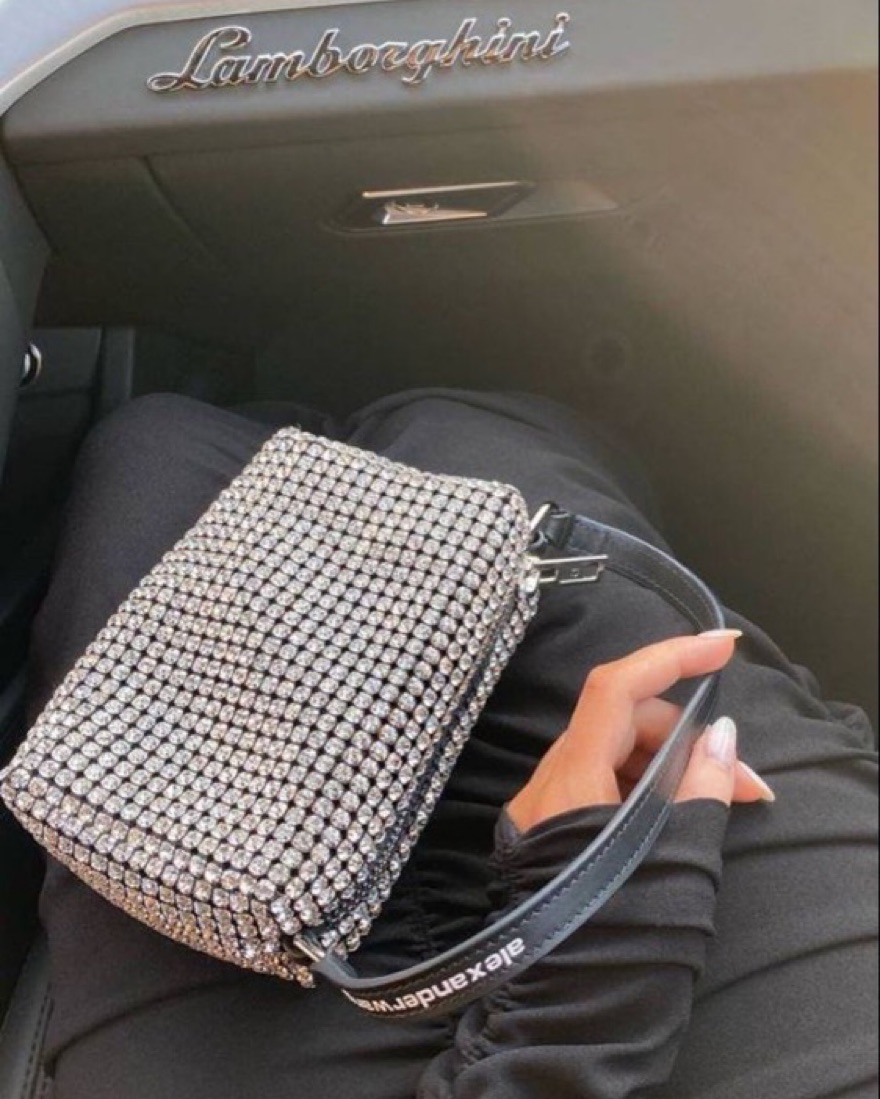 ALEXANDER WANG: Heiress bag in fabric with rhinestones