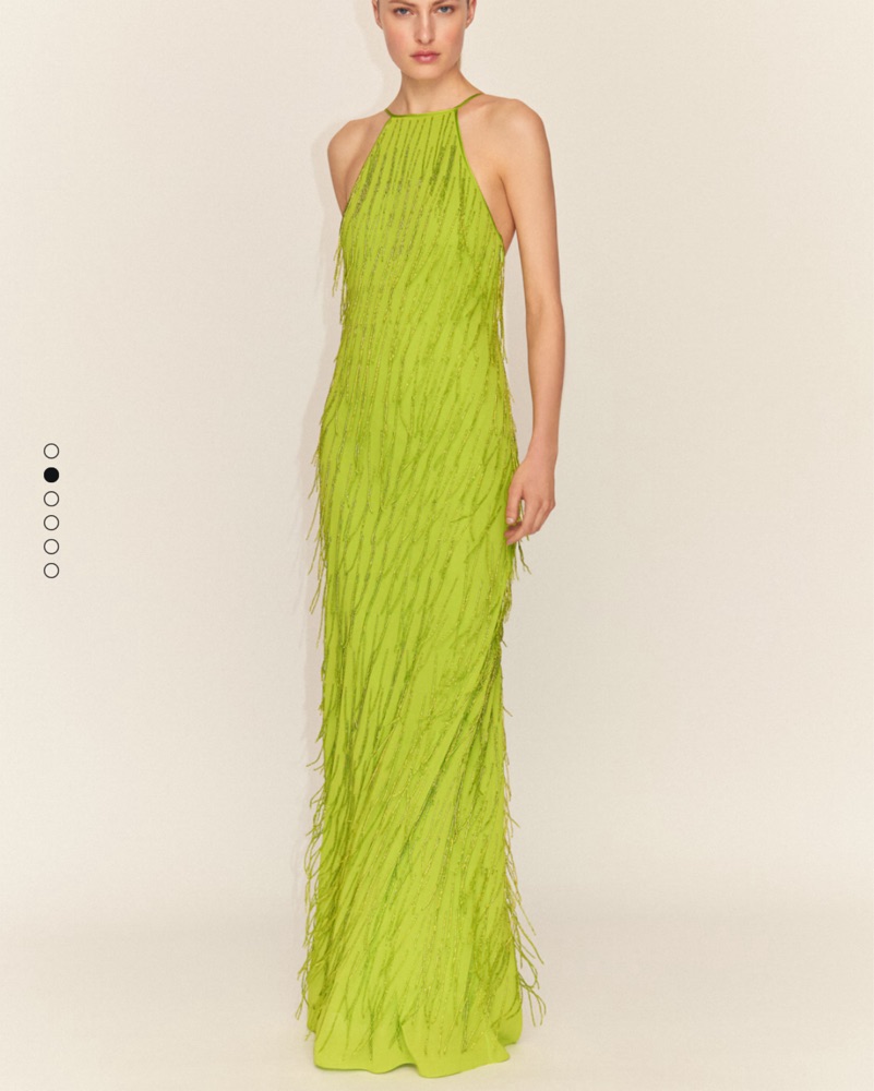 Beaded Mango Capsule Maxi Dress by Mango Capsule Collection - Pickle