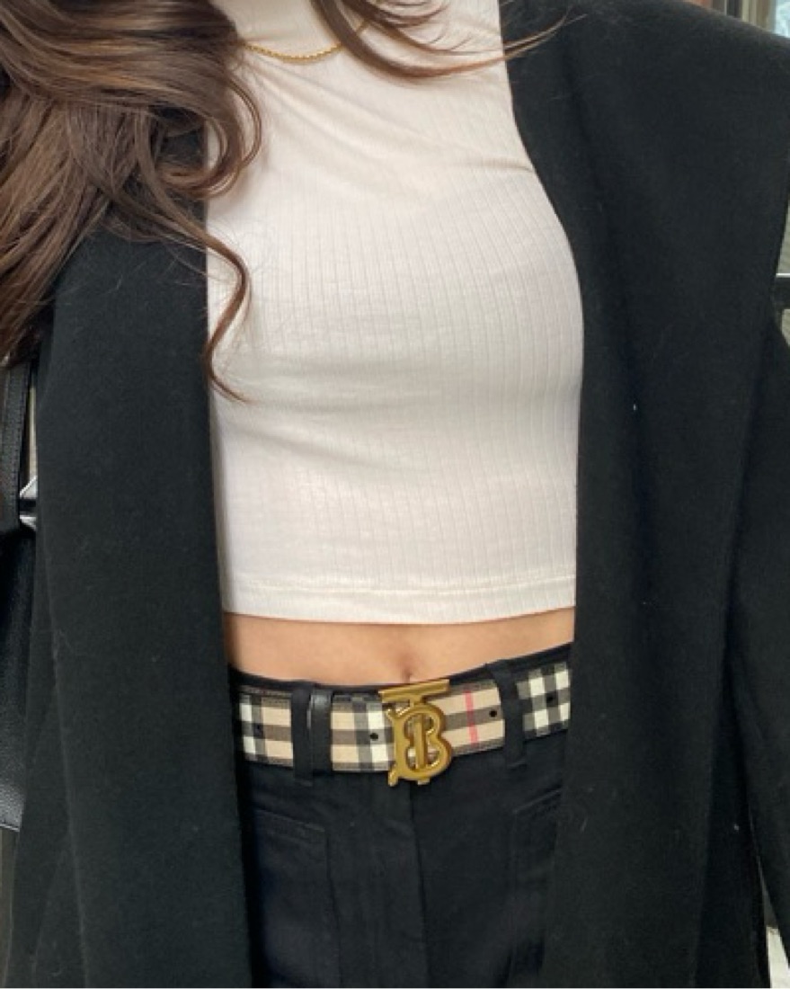 Classic Check Burberry Belt | Pickle