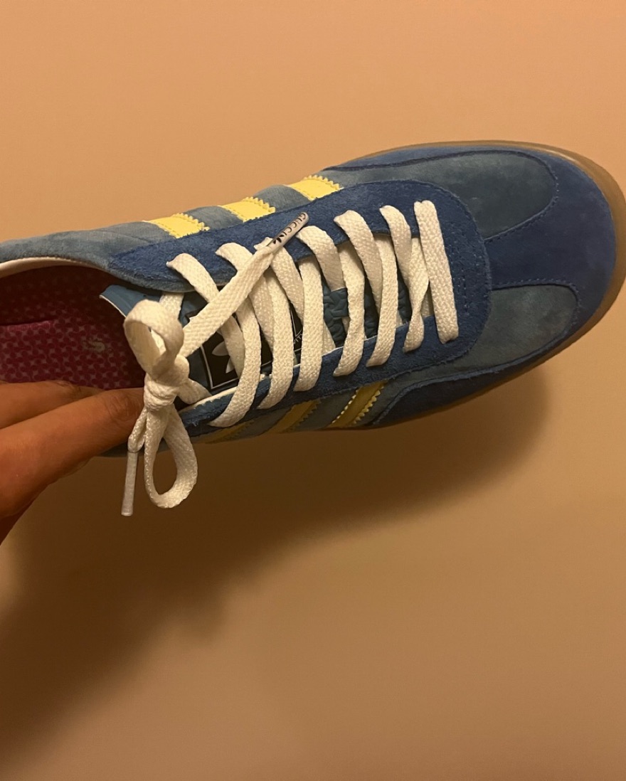 Adidas X Gucci Gazelle In Blue Velvet by Gucci - Pickle