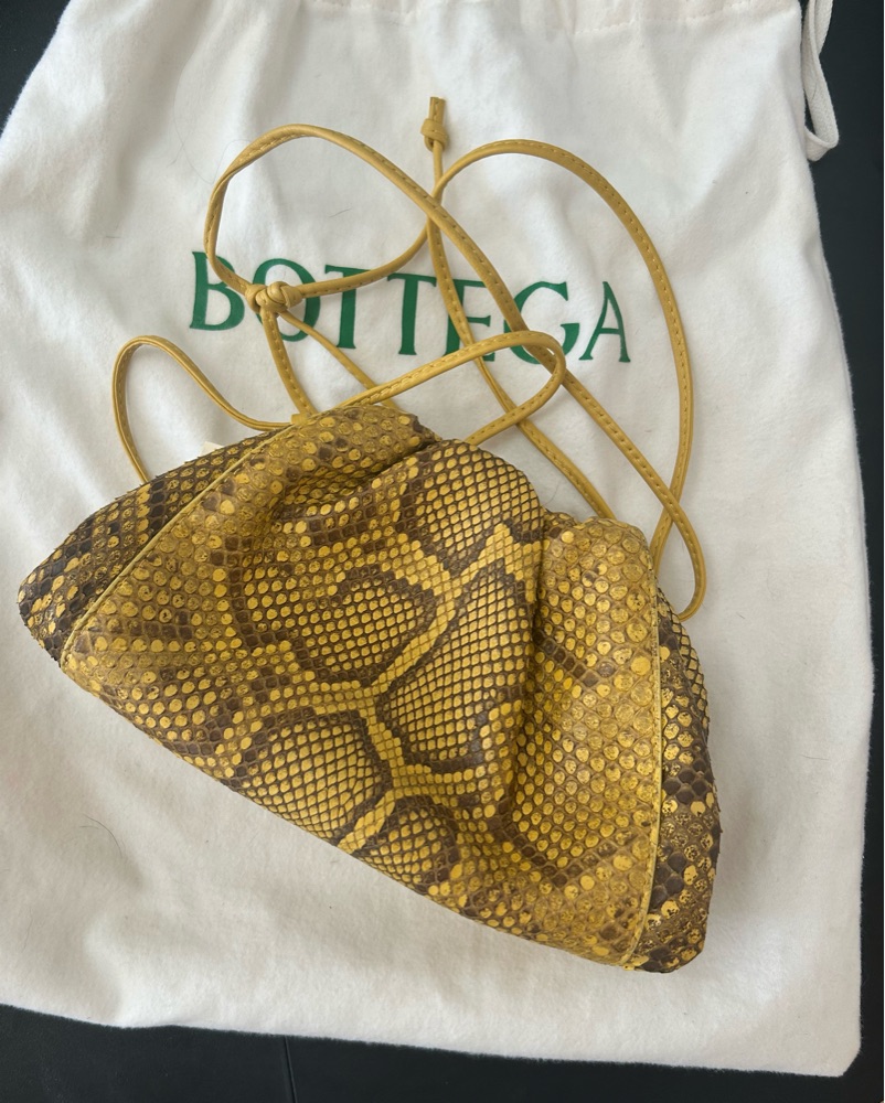 Bottega Veneta Python Mini Bag | Pickle
