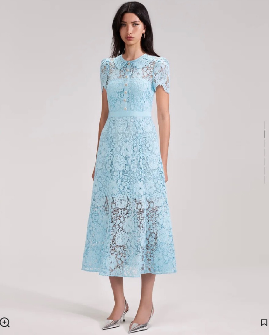 Self Portrait Blue Lace Dress | Pickle