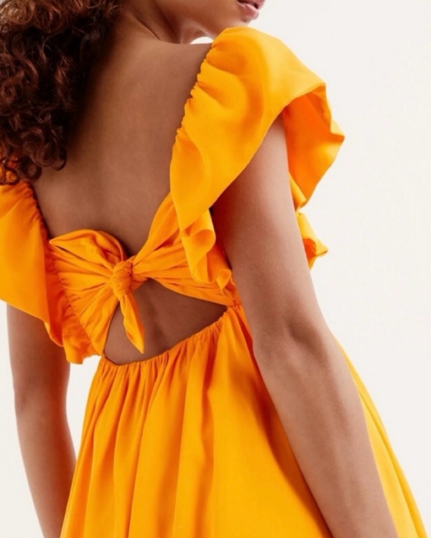 For Love & Lemons Clementine Mini Dress | Pickle
