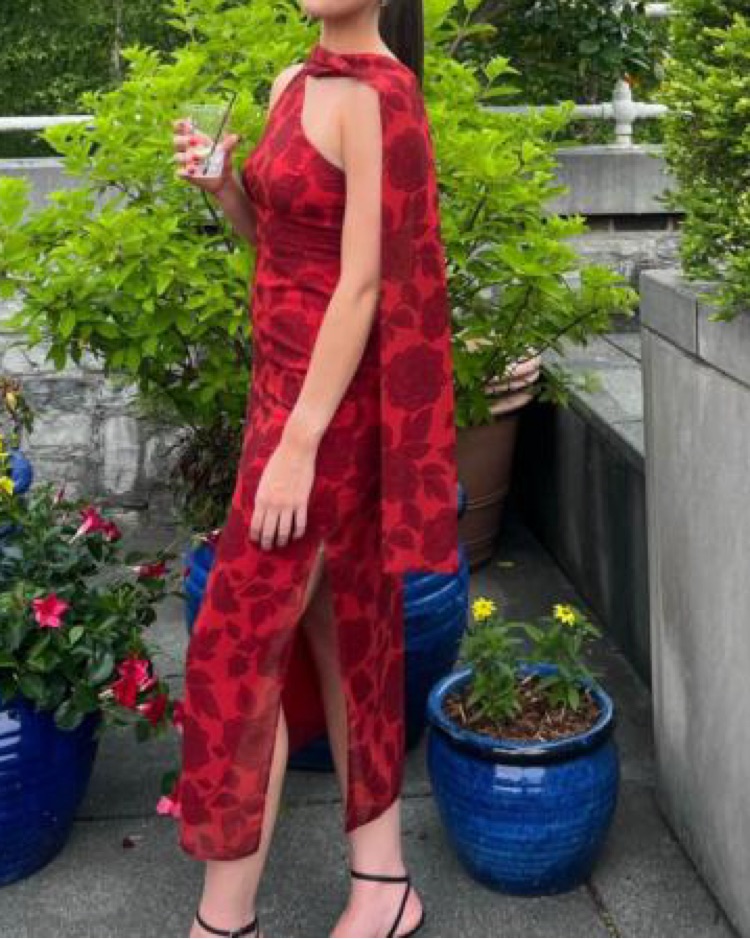 Lady Pipa Sidonia Irapa Red Dress by Lady Pipa - Pickle