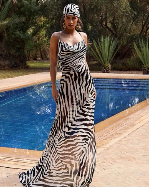 zebra maxi dress Zahara Maxi Dress (Brown Zebra), XL