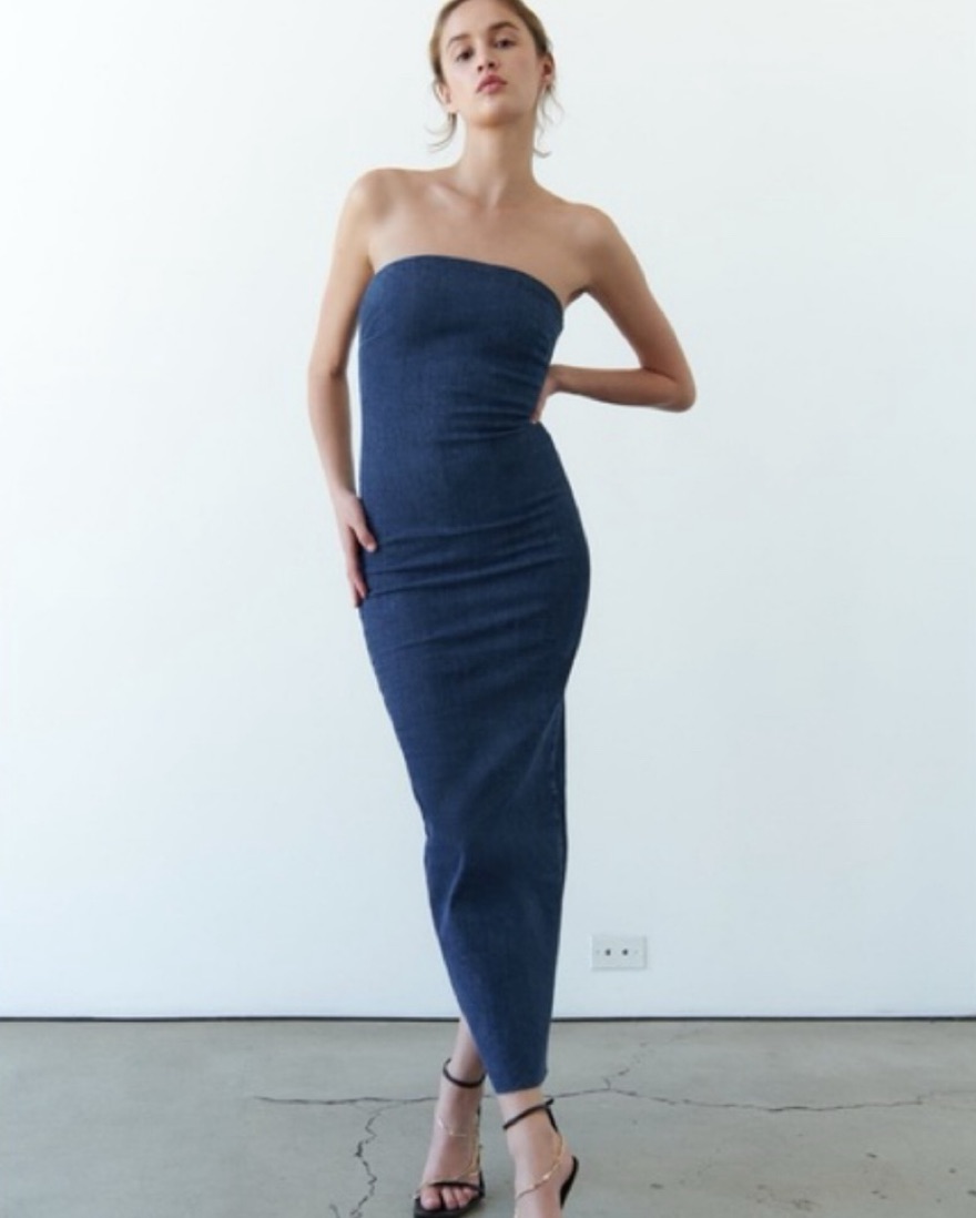 ZARA Denim Maxi Dress by Zara - Pickle