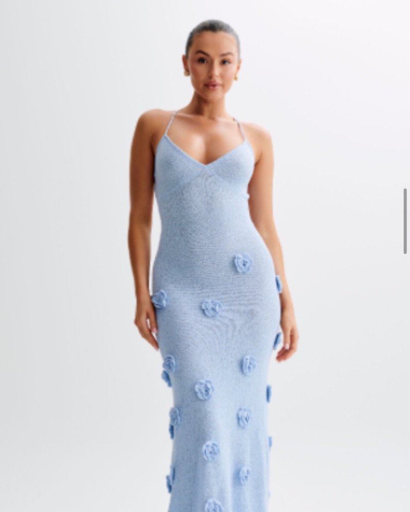 florrie knit maxi dress Reformation Florence Knit Dress in Blue