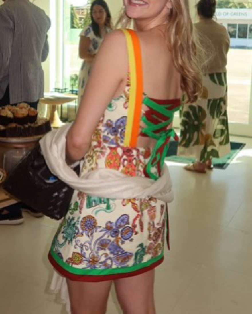 alemais fiesta mini dress ALMAIS Fiesta Mini Dress