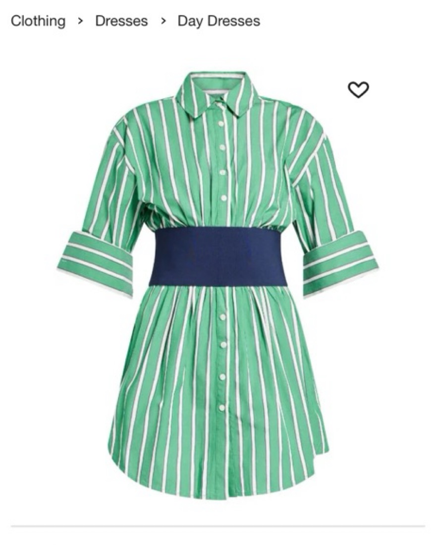 green striped shirt dress Stripe Me Happy Pleated Mini Dress L / green main image 1