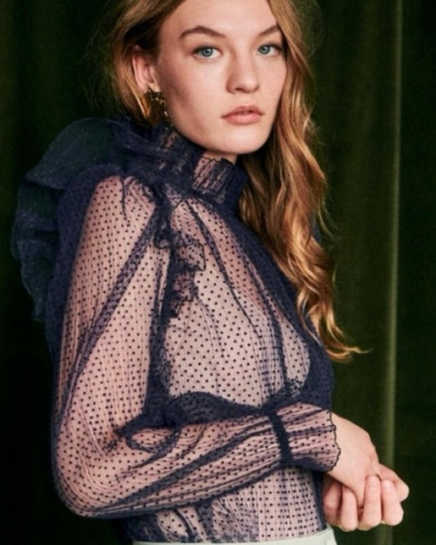 Sezane Sheer Blouse | Pickle