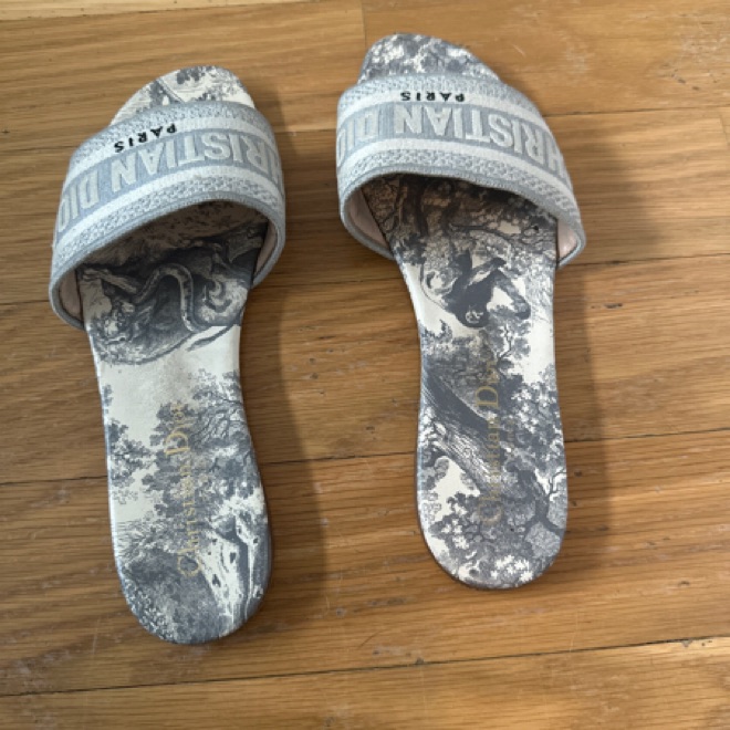 Dior Dway Slides - Gray Toile de Jouy Em by Christian Dior - Pickle