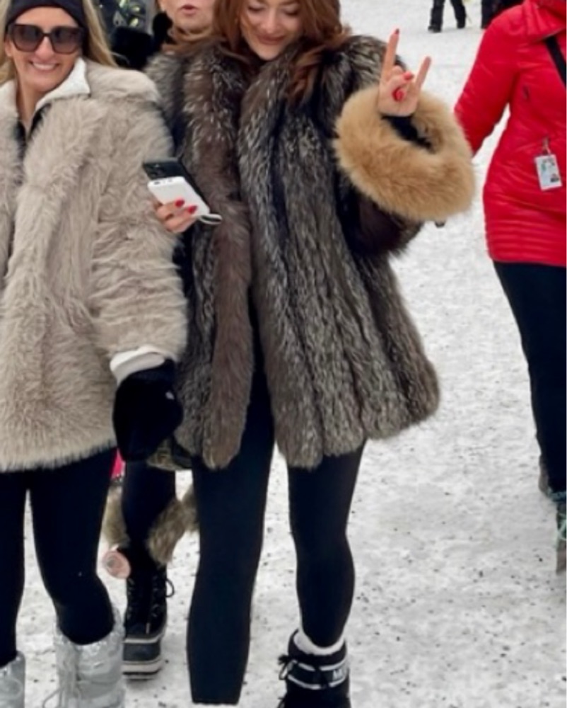 Real Silver Fox Fur Coat by Unknown - Pickle
