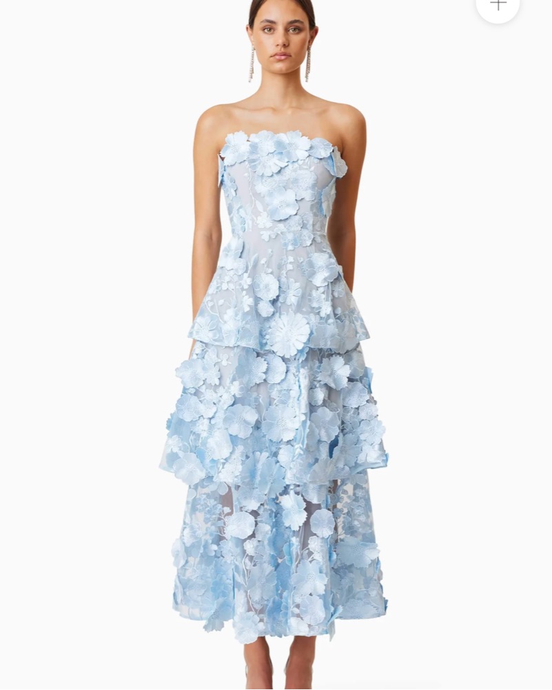 elliatt flora maxi dress Georgina Maxi Dress