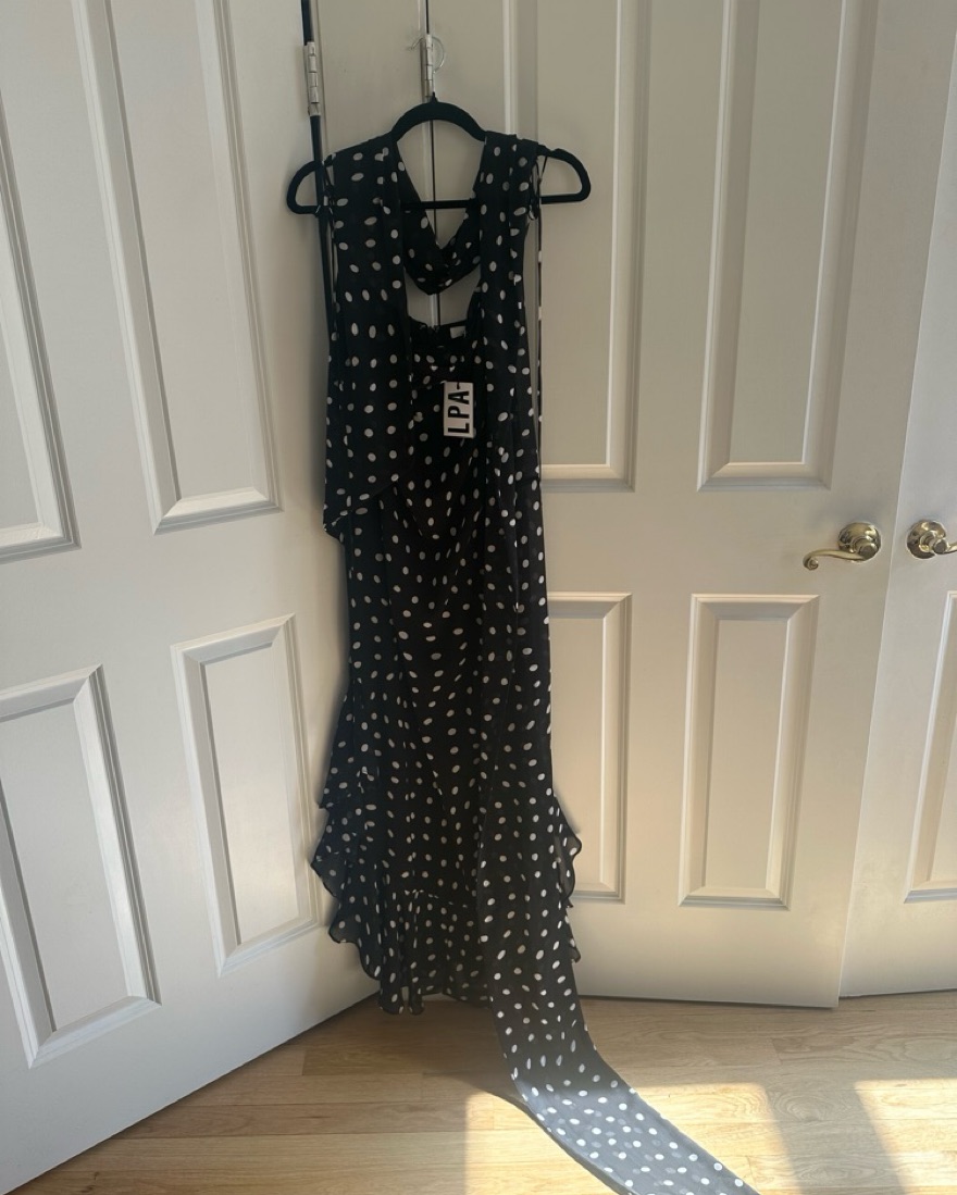 Lpa polka dot dress store