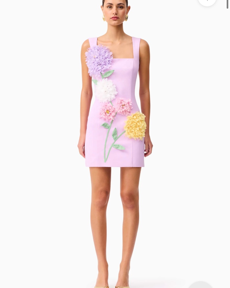 Elliatt Buttercup Embroidered Dress by Elliatt - Pickle