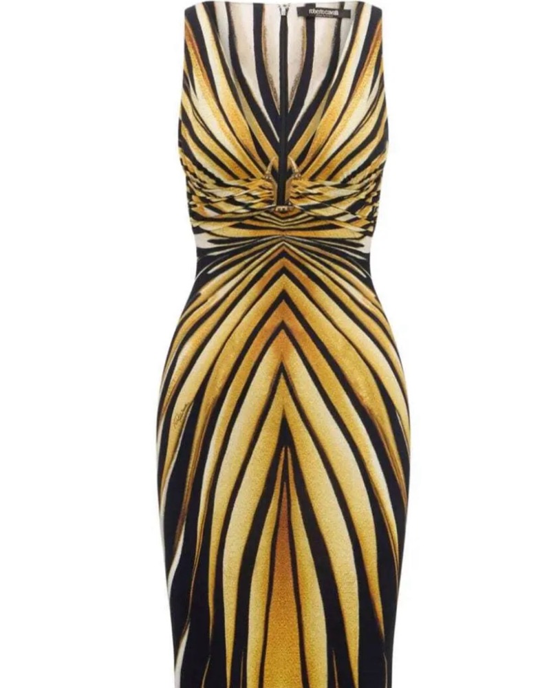 roberto cavalli h&m gold dress Wow. This gold beaded fringe mini dress comes from the 2007 Roberto Cavalli  x H&M limited edition collaboration, one of the most iconic drops ever  released. Fully embellished and boned in glamour,