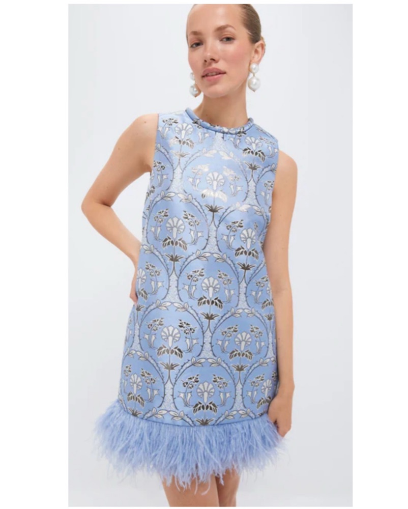 Cara Cara Paige Dress by Cara Cara - Pickle