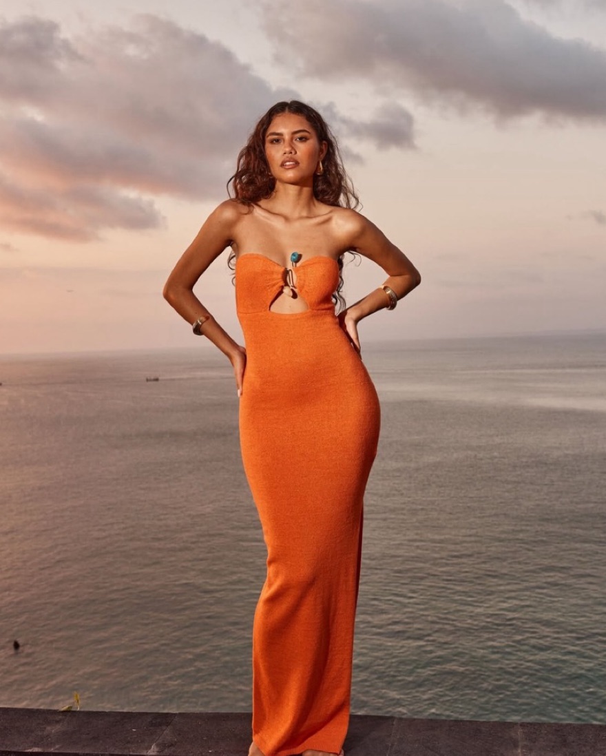 Orange Runaway Dress by RUNAWAY the Label - Pickle
