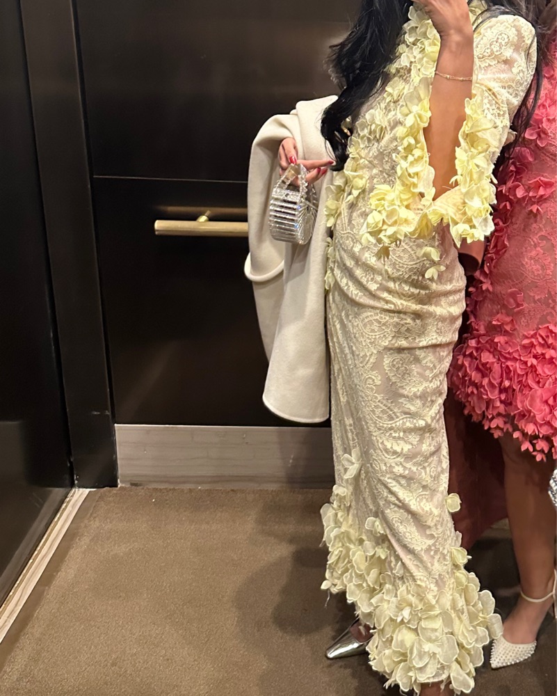 dresses women elegant Luxury Elegant Evening Gown Dress with Long Sheer Sleeves – FineLook