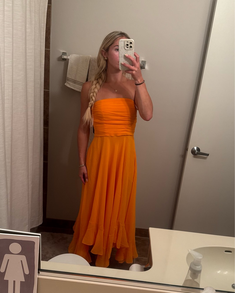 louisa chiffon dress Camille's Garden Louisa Chiffon Ankle Gown