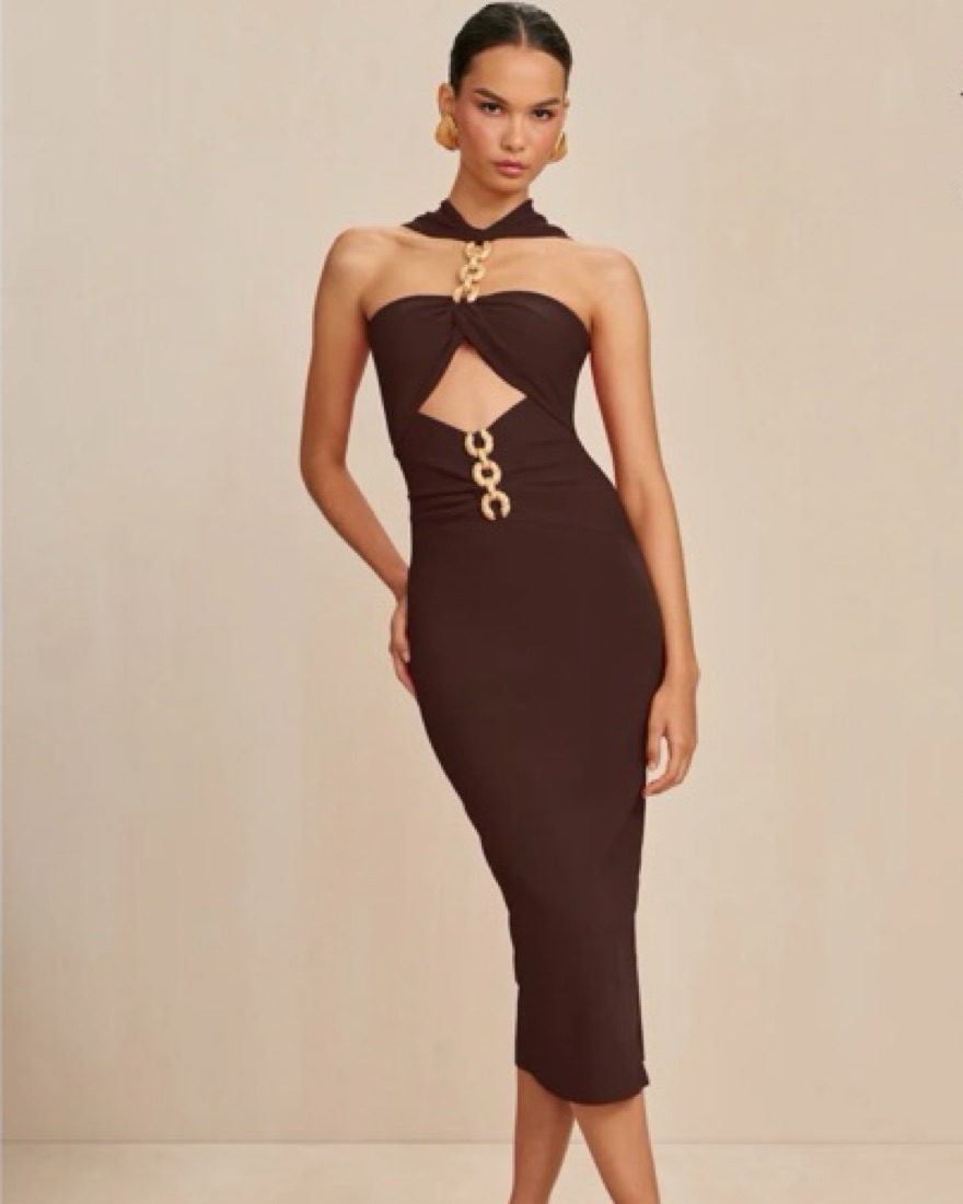 brown cult gaia dress Cult Gaia Estelle Dress