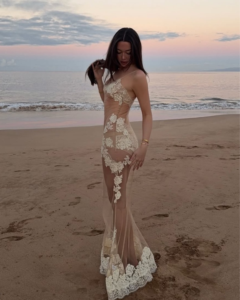 White Lace Maxi Sheer Dress by Mirror Palais - Pickle