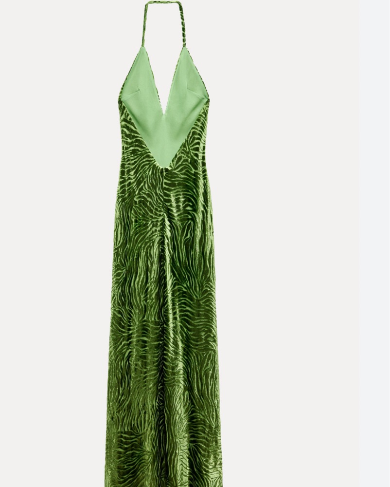 zebra green dress Zebra Print Maxi Dress main image 0