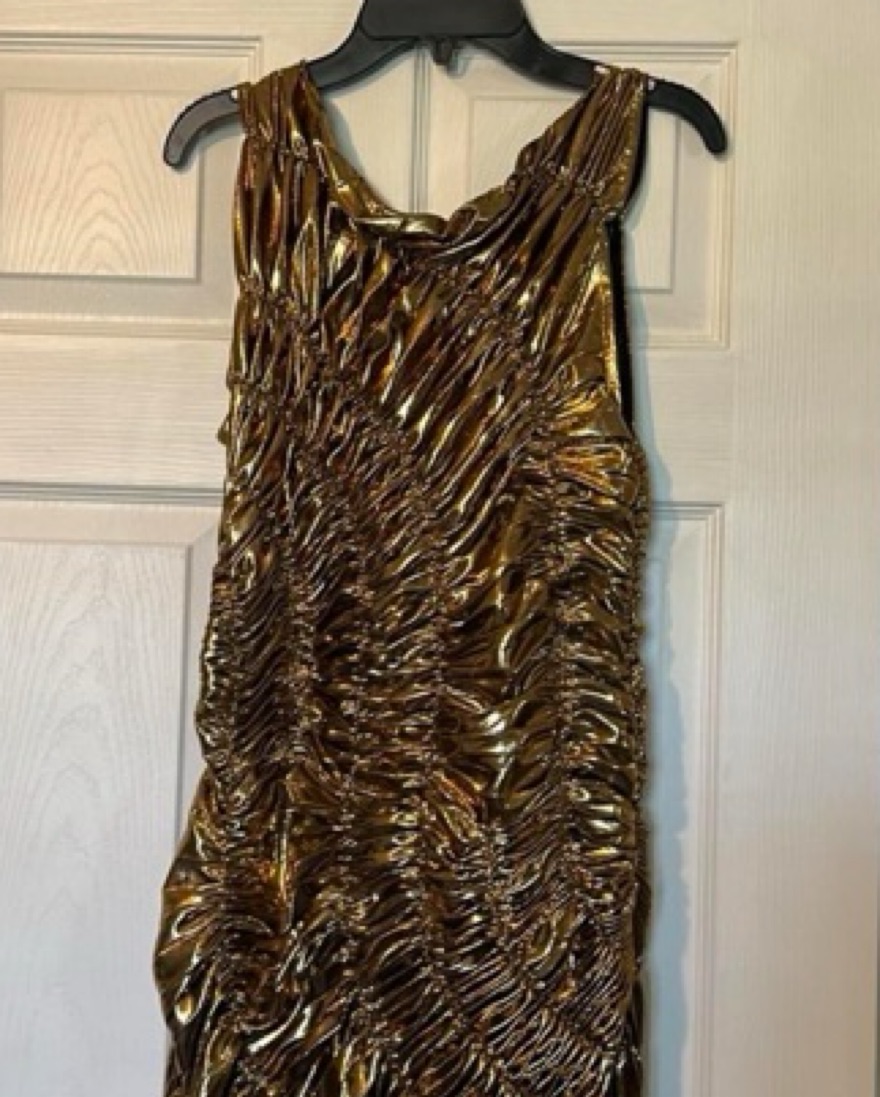 Fossil Dress Gold Georgia Hardinge by Georgia Hardinge - Pickle